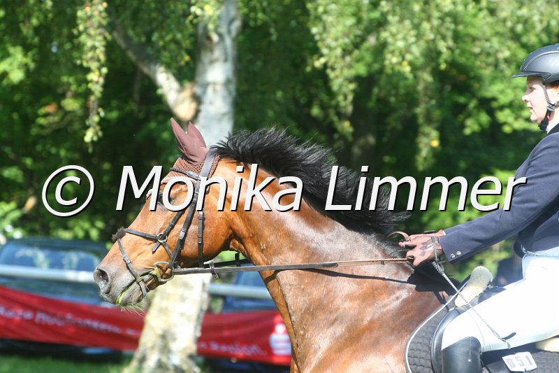 308M9693_Camelot Cary_Spring_A.JPG